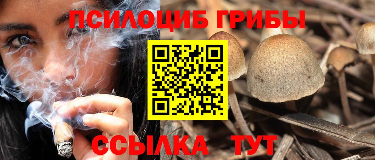 Псилоцибиновые грибы мицелий Красноуфимск
