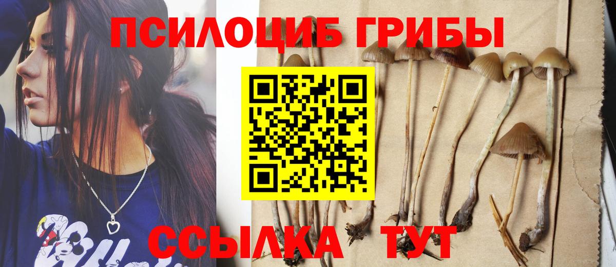 Красноуфимск  Псилоцибиновые грибы Magic Shrooms  Вход с VPN 